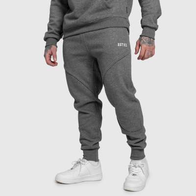 Férfi melegítőnadrág Iron Aesthetics ASTHX, szürke