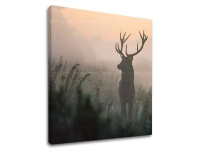 Falfestmény ANIMALS_054-12