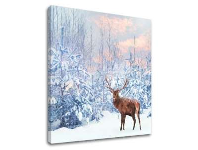 Falfestmény ANIMALS_053-12