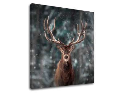 Falfestmény ANIMALS_052-12