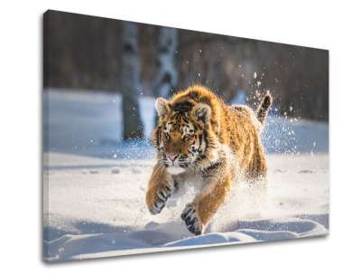 Falfestmény ANIMALS_048-11