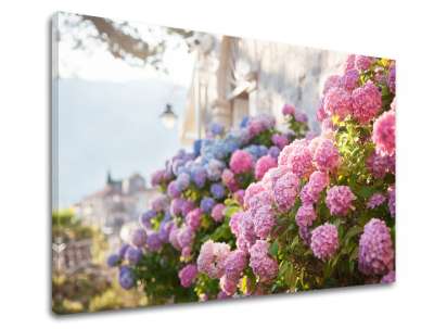 Falfestmény PINK FLOWERS_157-11