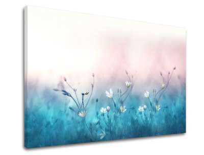 Fali festmény WHITE FLOWERS_156-11