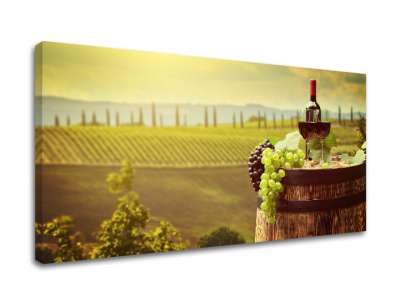 Falfestés VINICE_083-11