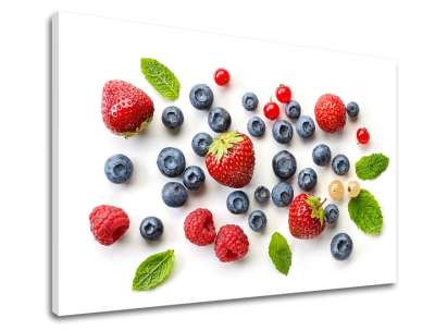 Falfestés OVOCIE_094-11