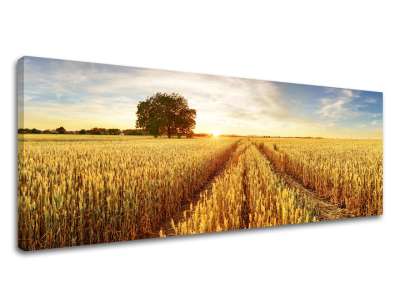 Falfestmény LÚKA_053-13