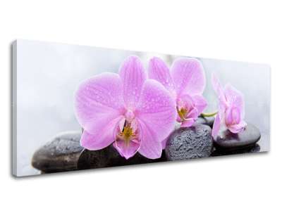 A kép a vásznon FENG SHUI_062-13