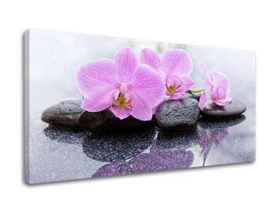 A kép a vásznon FENG SHUI_062-11