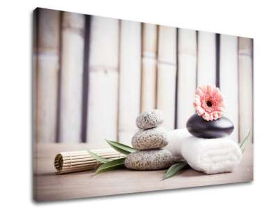 A kép a vásznon FENG SHUI_053-11