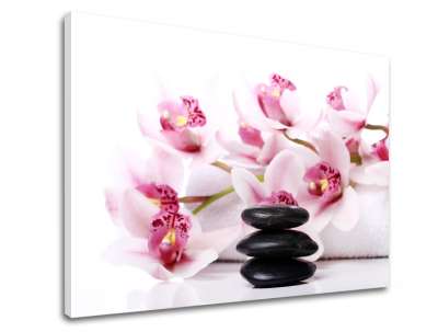 A kép a vásznon FENG SHUI_047-11