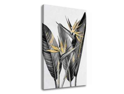 A kép a vásznon RASTLINES 003