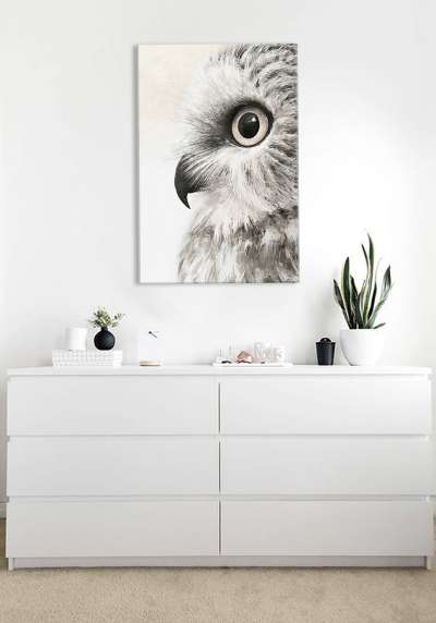 Festmény vászonra Bagoly nézete