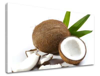 Fali festmény Konyha 20x30 cm