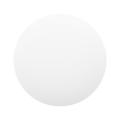 Mi Smart LED Ceiling Light