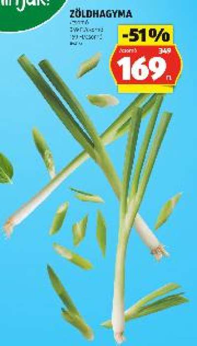 ZÖLDHAGYMA