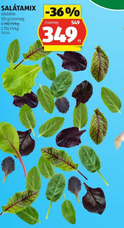 SALÁTAMIX