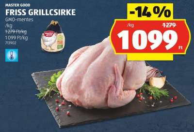 MASTER GOOD FRISS GRILCSIRKE