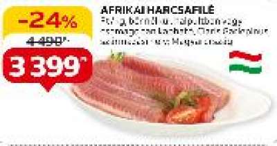 Afrikai harcsafilé