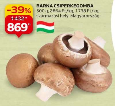 Barna csiperkegomba