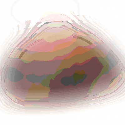 Kanizsa Pékség szeletelt teljes kiőrlésű rozskenyér