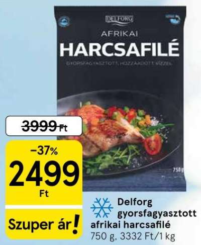 Delforg Afrikai Harcsafilé