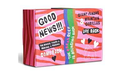 Happy Socks 4-Pack Gift Set