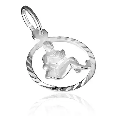 Függő 925 ezüstből - fényes karika és Vízöntő csillagjegy