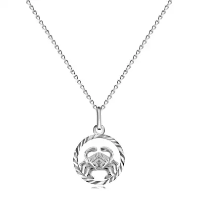 Fényes ezüst nyaklánc és medál a RÁK jegyében