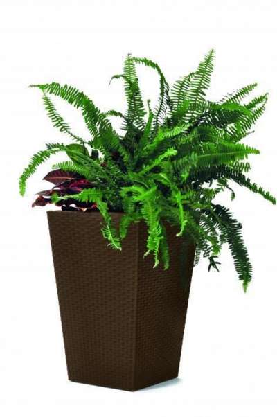 Keter Virágcserép Rattan Planter S