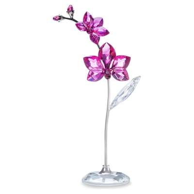 Swarovski Virágos álmok – Orchidea, nagy