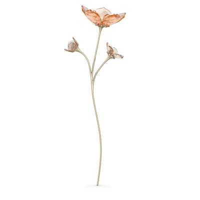 Swarovski Garden Tales, Magnólia