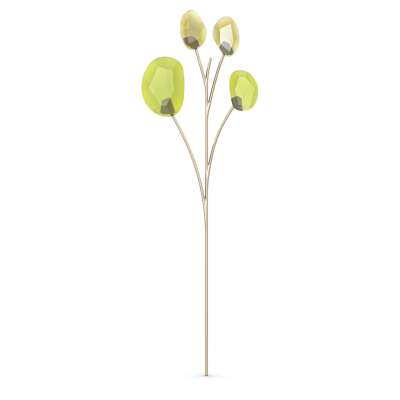 Swarovski Garden Tales, Eukaliptusz