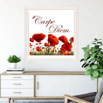 Tapéta idézettel - Carpe Diem, pipacs