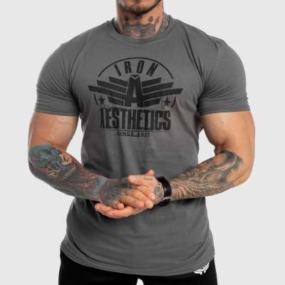 Férfi fitness póló Iron Aesthetics Force, szürke