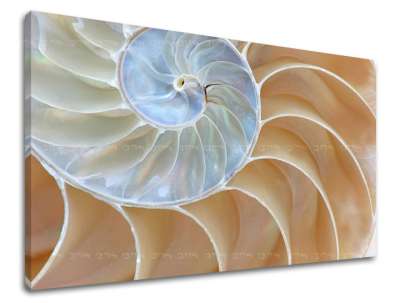 Fali festés ABSTRAKT AB092E11