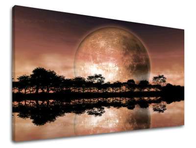 Fali festés ABSTRAKT AB095E11