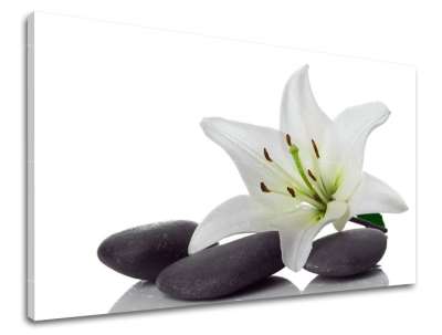 Fali művészet FENG SHUI FS029E11