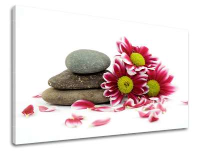 Fali művészet FENG SHUI FS034E11