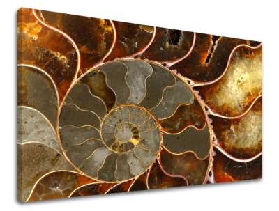 Falfestmény INSPIRÁCIÓ IN041E11