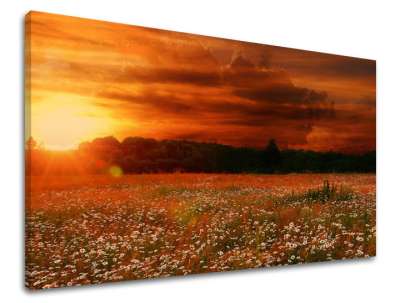 Fali festmény LANDSCAPE KR035E11