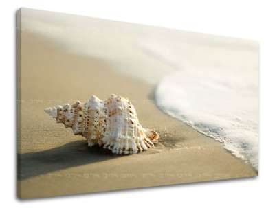 Falfestmény BEACH PL006E11