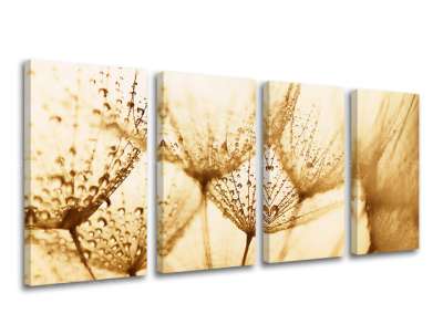 4 részes falfestmény FLOWERS KV071E41