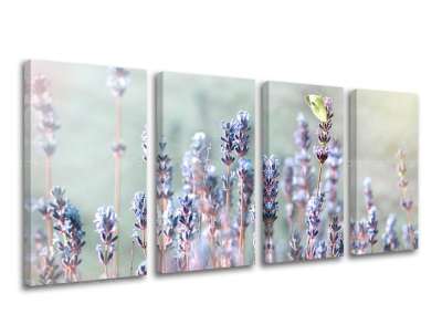 4 részes falfestmény FLOWERS KV077E41