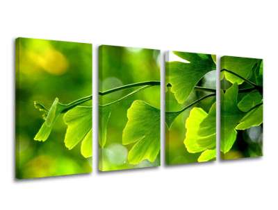 4 részes falfesték RASTLINY RA020E41