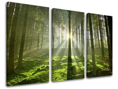 3-részes falfesték TREES ST021E30