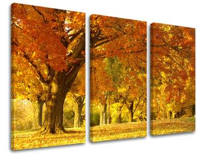 3-részes falfestés TREES ST022E30