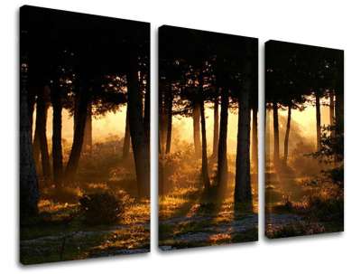 3-részes falfestés TREES ST025E30