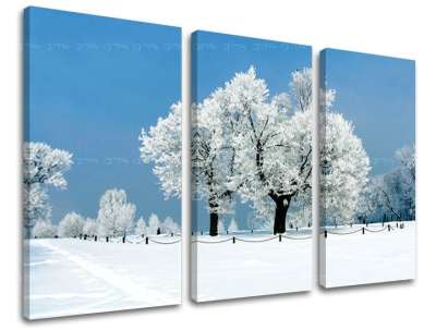 3-részes falfestés TREES ST028E30