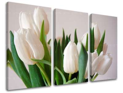 3 részes falfestmény FLOWERS XOBKV108E30