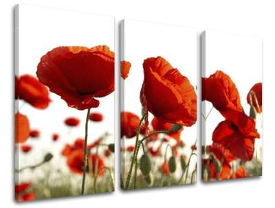 3 részes falfestmény FLOWERS XOBKV118E30